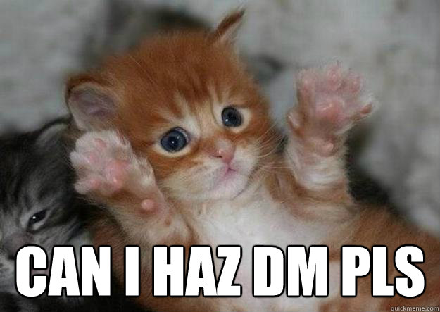  can i haz dm pls
  Two kittens say