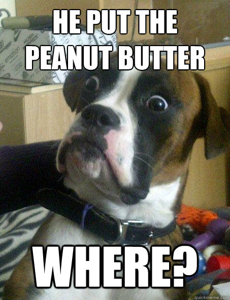 He put the peanut butter  WHERE? - He put the peanut butter  WHERE?  Baffled boxer