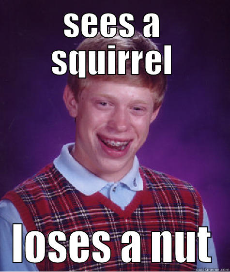 SEES A SQUIRREL LOSES A NUT Bad Luck Brian