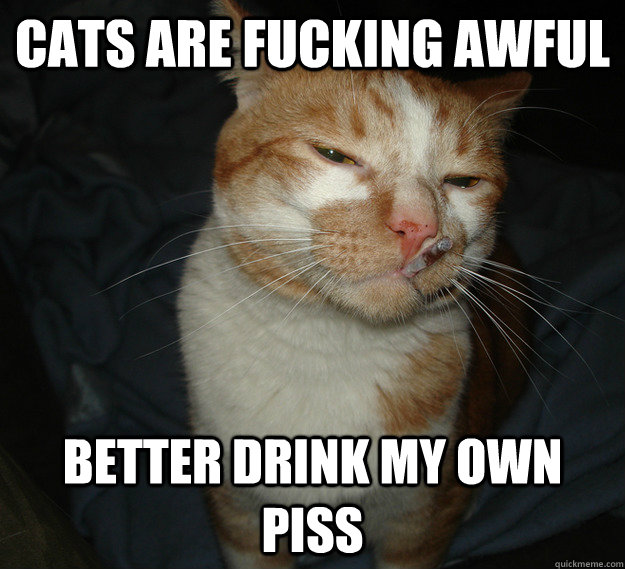 cats are fucking awful better drink my own piss  Good Guy Cat