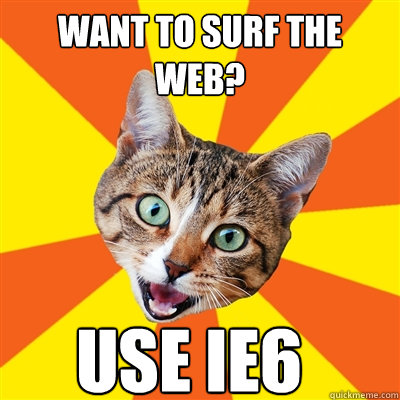 want to surf the web? Use IE6  Bad Advice Cat