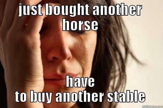JUST BOUGHT ANOTHER HORSE HAVE TO BUY ANOTHER STABLE First World Problems