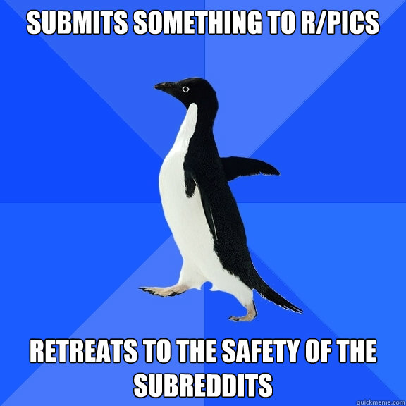 submits something to r/pics Retreats to the safety of the subreddits  Socially Awkward Penguin