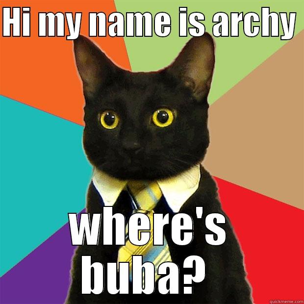 HI MY NAME IS ARCHY  WHERE'S BUBA?  Business Cat
