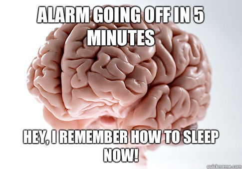 Alarm going off in 5 minutes Hey, I remember how to sleep now!  Scumbag Brain