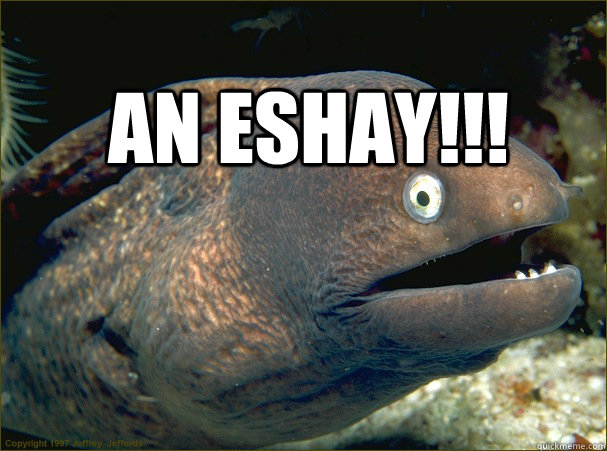 An eshay!!!   Bad Joke Eel