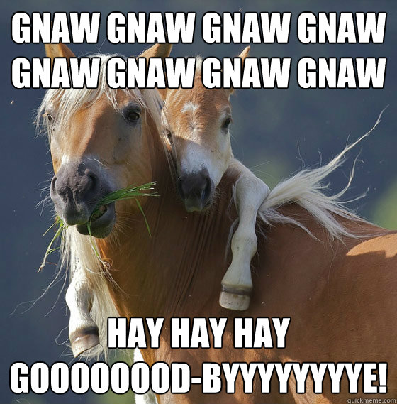 GNAW GNAW GNAW GNAW
GNAW GNAW GNAW GNAW HAY HAY HAY
GOOOOOOOD-BYYYYYYYYE! - GNAW GNAW GNAW GNAW
GNAW GNAW GNAW GNAW HAY HAY HAY
GOOOOOOOD-BYYYYYYYYE!  Horse on horse