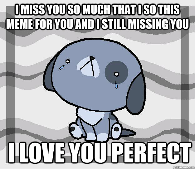 I Miss you so much that i so this meme for you and i still missing you  i love you perfect   Miss you