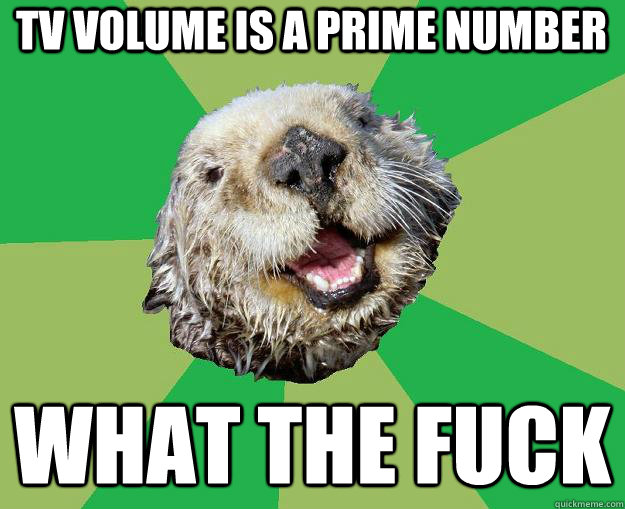 TV volume is a prime number what the fuck  OCD Otter