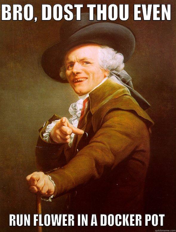 DOCKER POT - BRO, DOST THOU EVEN  RUN FLOWER IN A DOCKER POT Joseph Ducreux