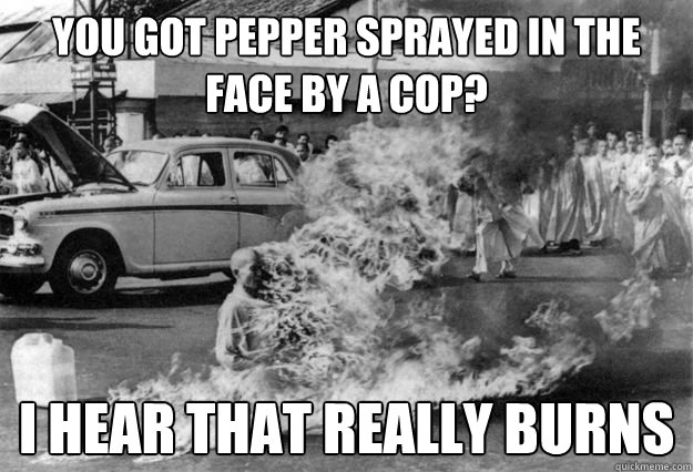 You got pepper sprayed in the face by a cop? I hear that really burns  Unimpressed Monk