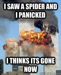 I saw a spider and I panicked  i thinks its gone now - I saw a spider and I panicked  i thinks its gone now  9-11