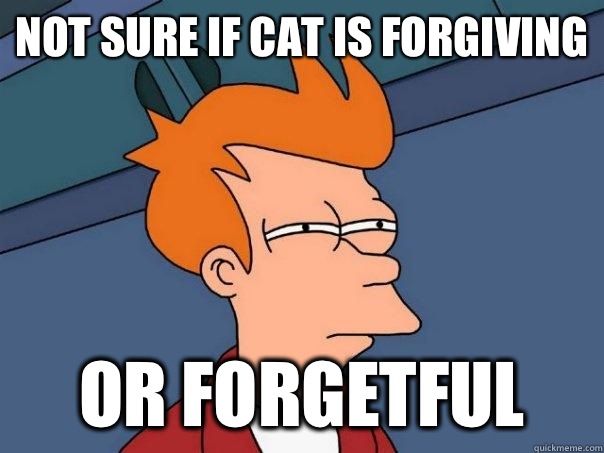 Not sure if cat is forgiving Or forgetful - Not sure if cat is forgiving Or forgetful  Futurama Fry