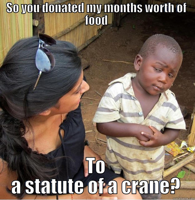 SO YOU DONATED MY MONTHS WORTH OF FOOD TO A STATUTE OF A CRANE? Skeptical Third World Kid