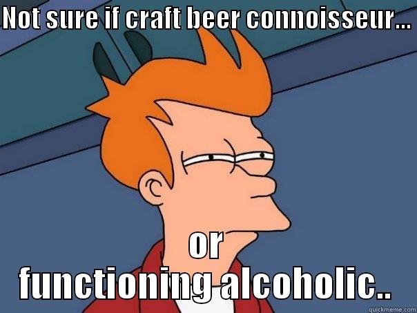 NOT SURE IF CRAFT BEER CONNOISSEUR...  OR FUNCTIONING ALCOHOLIC.. Futurama Fry