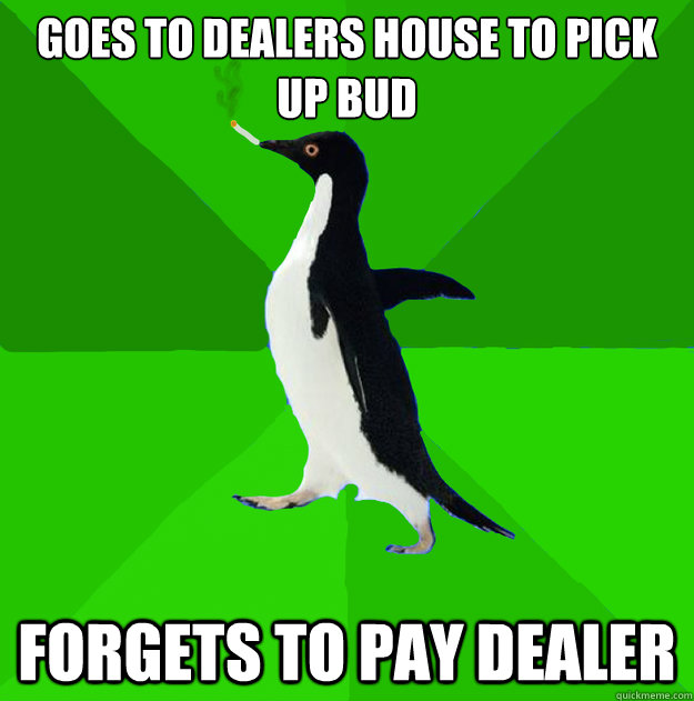 goes to dealers house to pick up bud forgets to pay dealer  Stoner Penguin