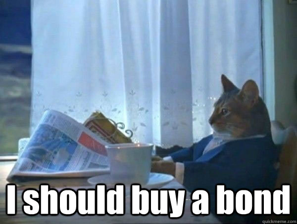  I should buy a bond  morning realization newspaper cat meme