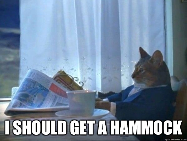  I should get a hammock  morning realization newspaper cat meme