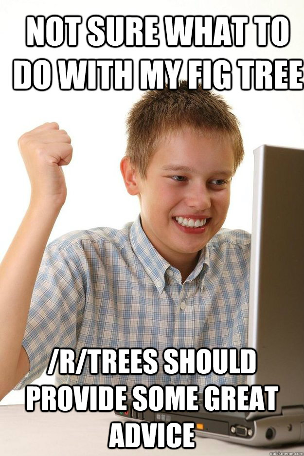 Not sure what to do with my fig tree /r/trees should provide some great advice  first time internet kid