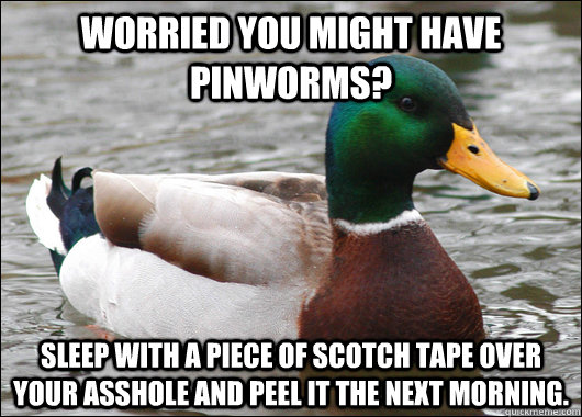 Worried you might have pinworms? Sleep with a piece of scotch tape over your asshole and peel it the next morning.  Actual Advice Mallard