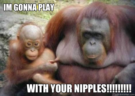 Im gonna play with your nipples!!!!!!!!! - Im gonna play with your nipples!!!!!!!!!  orangutan nipple pinch