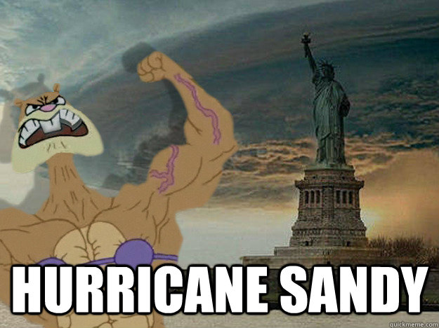  Hurricane sandy  