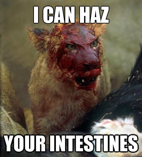 I CAN HAZ YOUR INTESTINES  