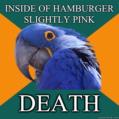 Inside of hamburger slightly pink DEATH  Paranoid Parrot