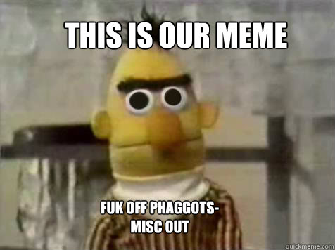 THIS IS OUR MEME FUK OFF PHAGGOTS- MISC OUT  