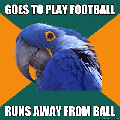 Goes to play football runs away from ball  Paranoid Parrot