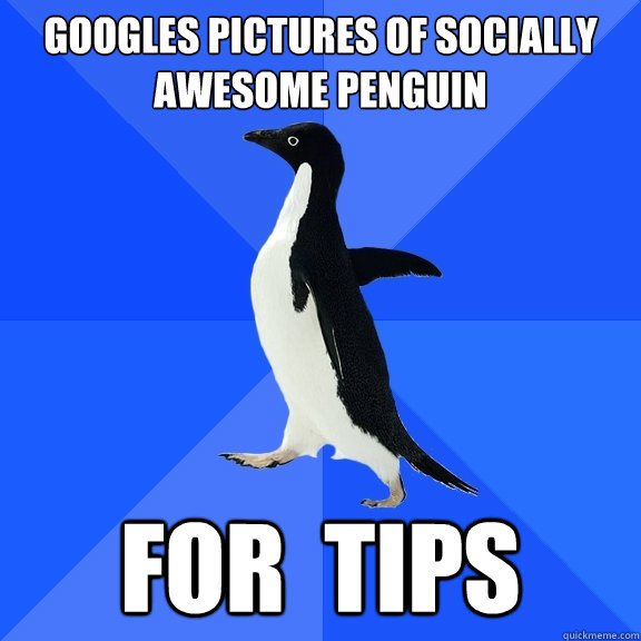 Googles pictures of socially awesome penguin FOR  TIPS  Socially Awkward Penguin