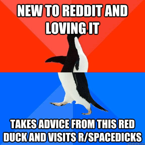 New to reddit and loving it takes advice from this red duck and visits r/spacedicks  Socially Awesome Awkward Penguin