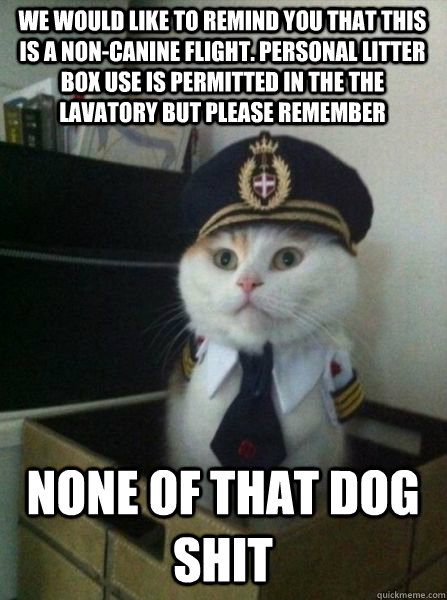 We would like to remind you that this is a non-canine flight. Personal litter box use is permitted in the the lavatory but please remember NONE OF THAT DOG SHIT  Captain kitteh