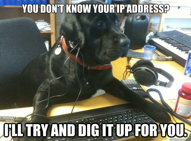 You don't know your IP address? I'll try and dig it up for you.  Tech Support Dog