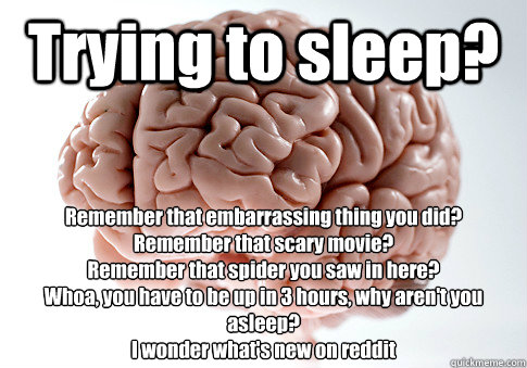 Trying to sleep? Remember that embarrassing thing you did?
Remember that scary movie?
Remember that spider you saw in here? 
Whoa, you have to be up in 3 hours, why aren't you asleep?
I wonder what's new on reddit   Scumbag Brain