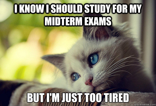 i know i should study for my midterm exams but i'm just too tired  - i know i should study for my midterm exams but i'm just too tired   First World Problems Cat