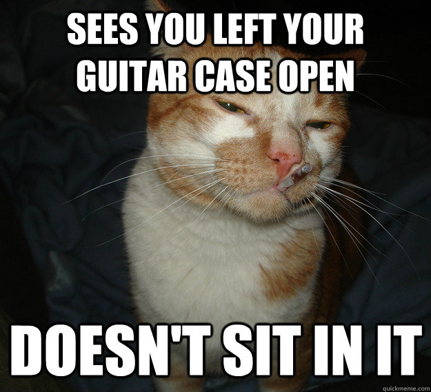 sees you left your guitar case open doesn't sit in it  Cool Cat Craig