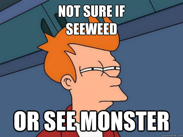 Not sure if 
seeweed Or see monster  Futurama Fry