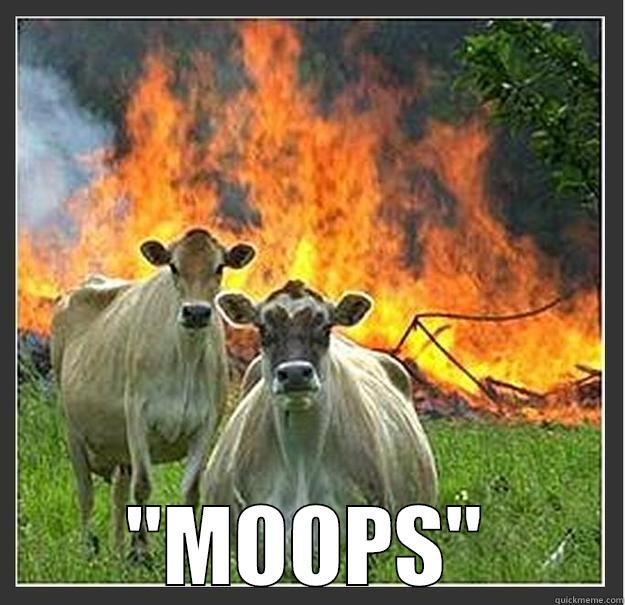 how cows say sorry.... -  