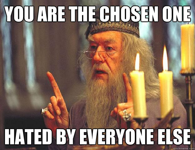 you are the chosen one hated by everyone else  Dumbledore