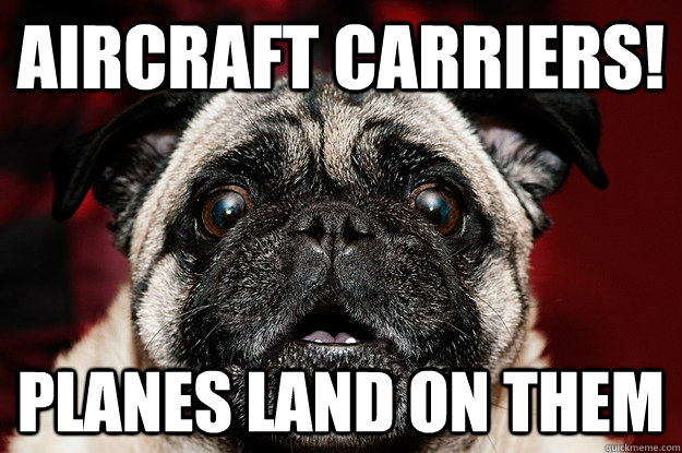 Aircraft Carriers! Planes land on them - Aircraft Carriers! Planes land on them  aircraft pug