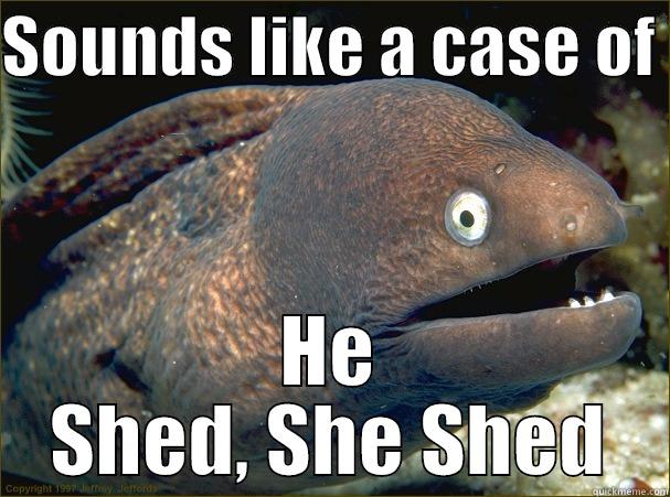 he shed she shed - SOUNDS LIKE A CASE OF  HE SHED, SHE SHED Bad Joke Eel