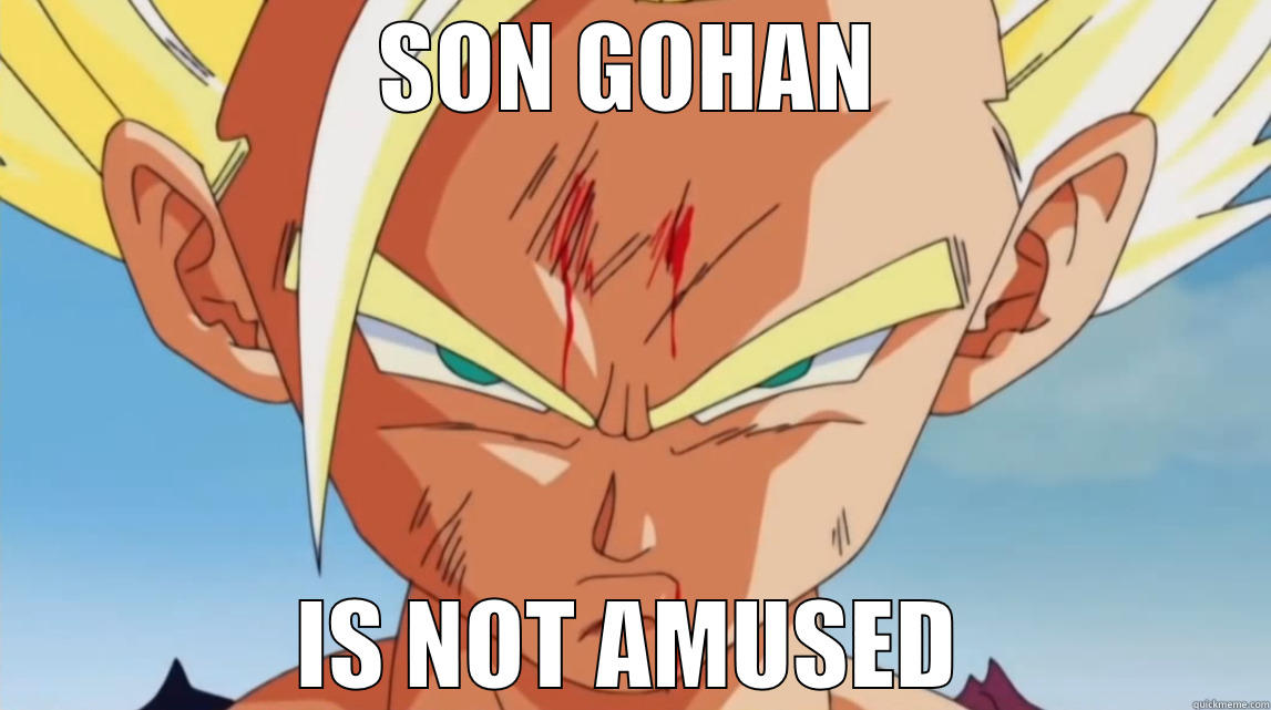 Gohan Not Amused - SON GOHAN IS NOT AMUSED Misc