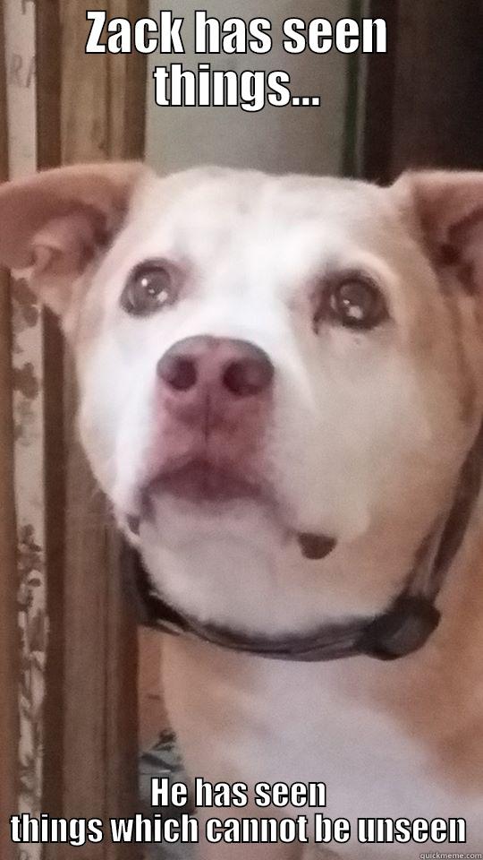 ZACK HAS SEEN THINGS... HE HAS SEEN THINGS WHICH CANNOT BE UNSEEN Misc