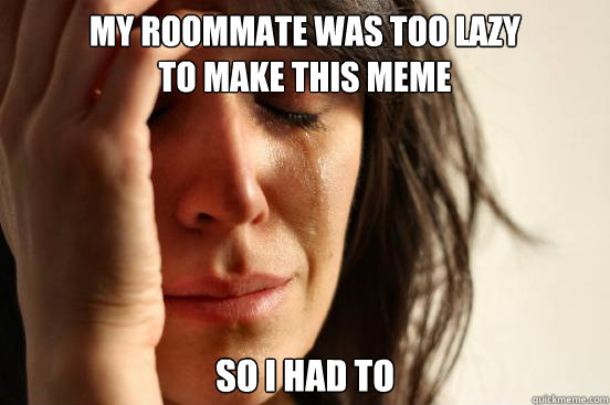 My roommate was too lazy 
to make this meme So I had to  First World Problems