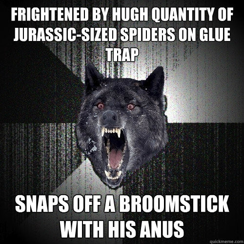 Frightened by hugh quantity of jurassic-sized spiders on glue trap snaps off a broomstick with his anus  Insanity Wolf