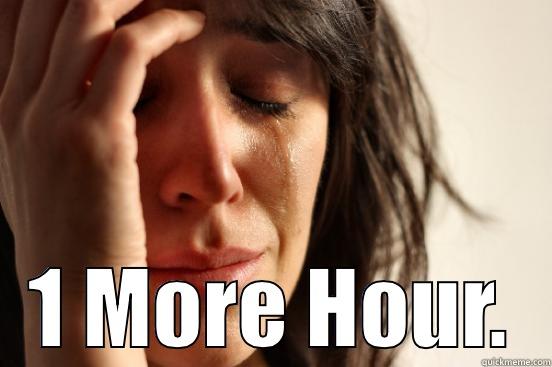  1 MORE HOUR. First World Problems