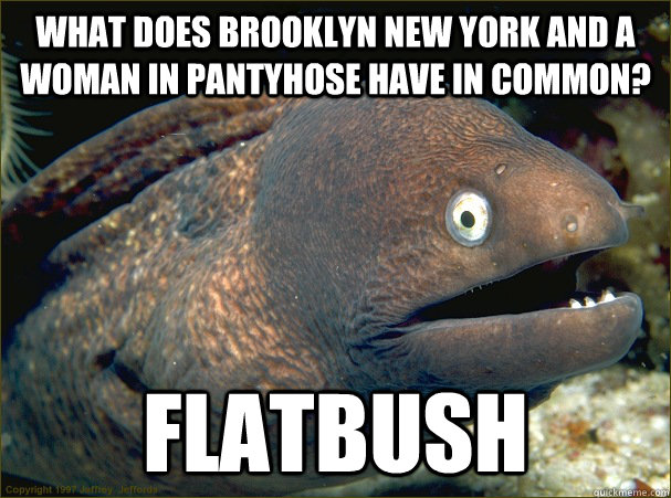 what does brooklyn new york and a woman in pantyhose have in common? flatbush - what does brooklyn new york and a woman in pantyhose have in common? flatbush  Bad Joke Eel