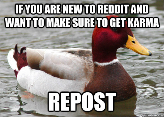 If you are new to Reddit and want to make sure to get karma REPOST  Malicious Advice Mallard