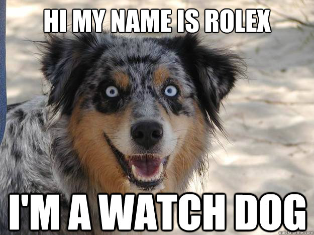 Hi my name is rolex I'm a watch dog  